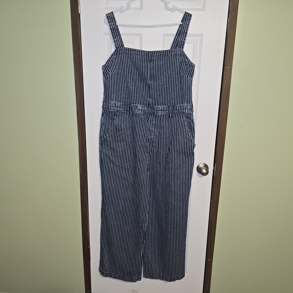 Universal Thread Blue and White Striped Overalls